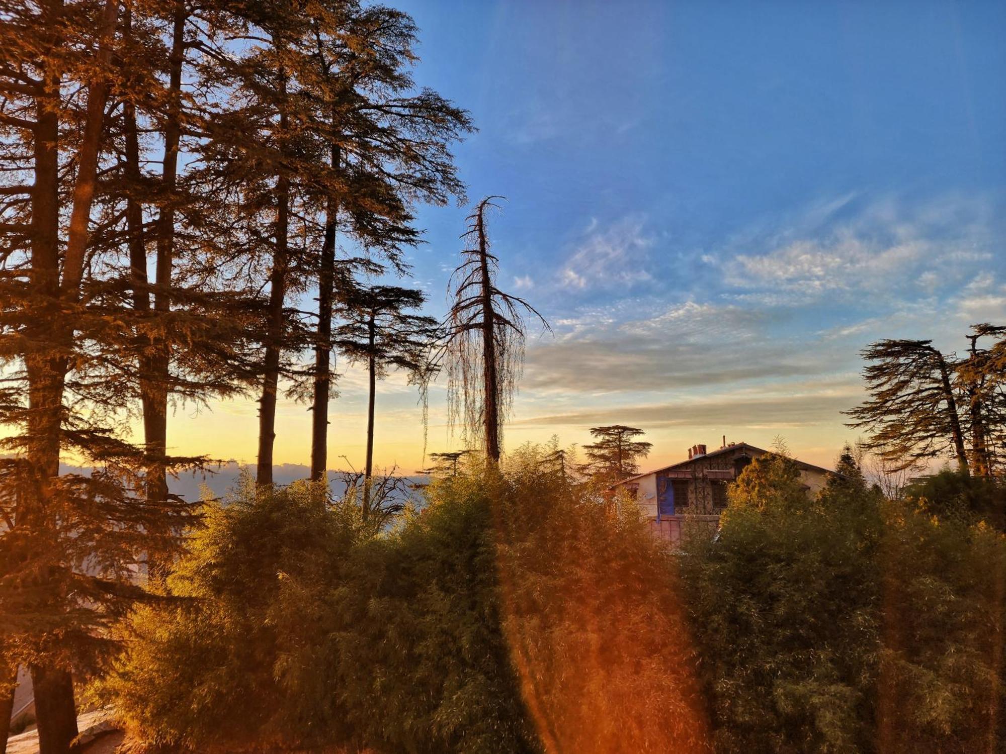 Hotel Pineview ชิมลา ภายนอก รูปภาพ